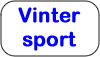 Vintersport